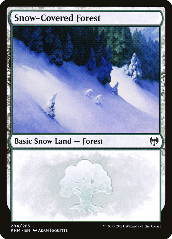 Magic the Gathering Card - Snow-Covered Forest - MTG Circle