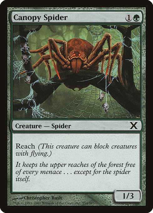 Magic the Gathering Card - Canopy Spider - MTG Circle