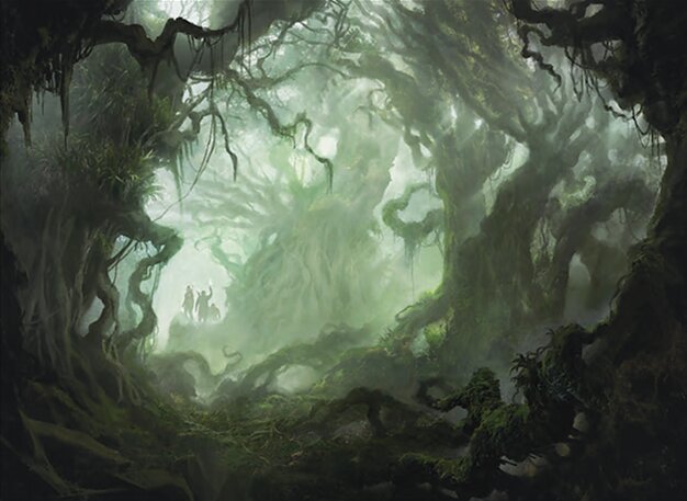 Forest