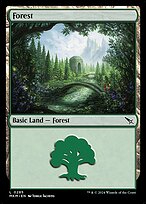 Magic the Gathering Card - Forest - MTG Circle