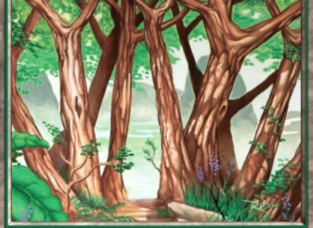 Forest