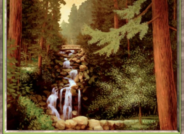 Forest