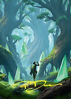 Magic the Gathering Card - Forest // Forest - MTG Circle