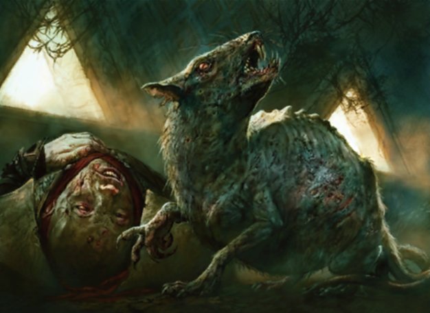 Typhoid Rats