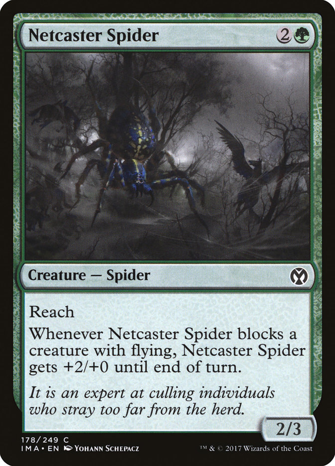 Magic the Gathering Card - Netcaster Spider - MTG Circle