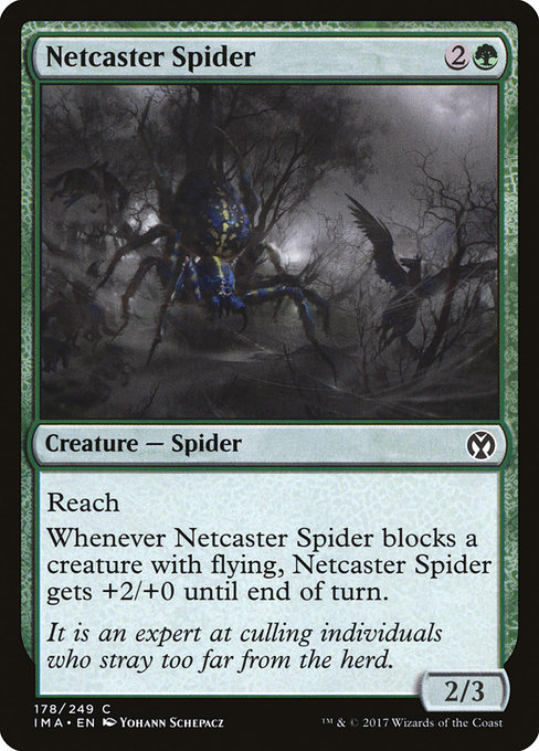 Magic the Gathering Card - Netcaster Spider - MTG Circle
