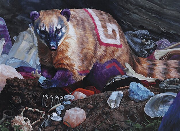 Coati Scavenger