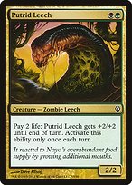 Magic the Gathering Card - Putrid Leech - MTG Circle