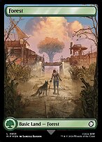 Magic the Gathering Card - Forest - MTG Circle