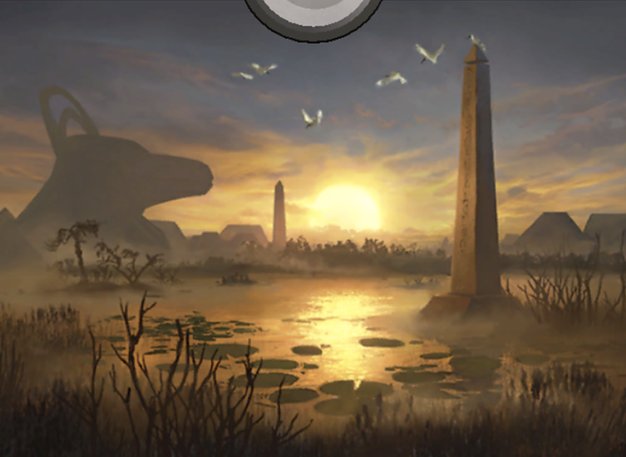 Swamp