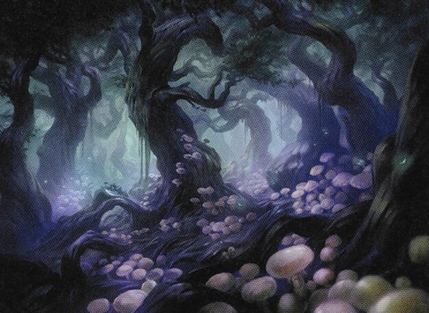 Deathcap Glade