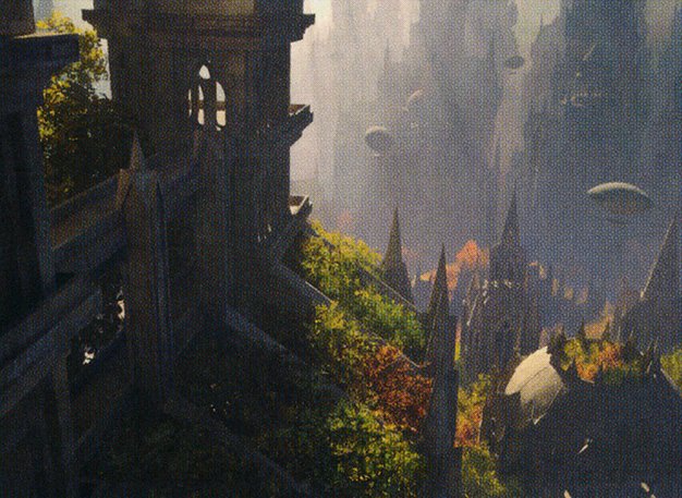 Forest