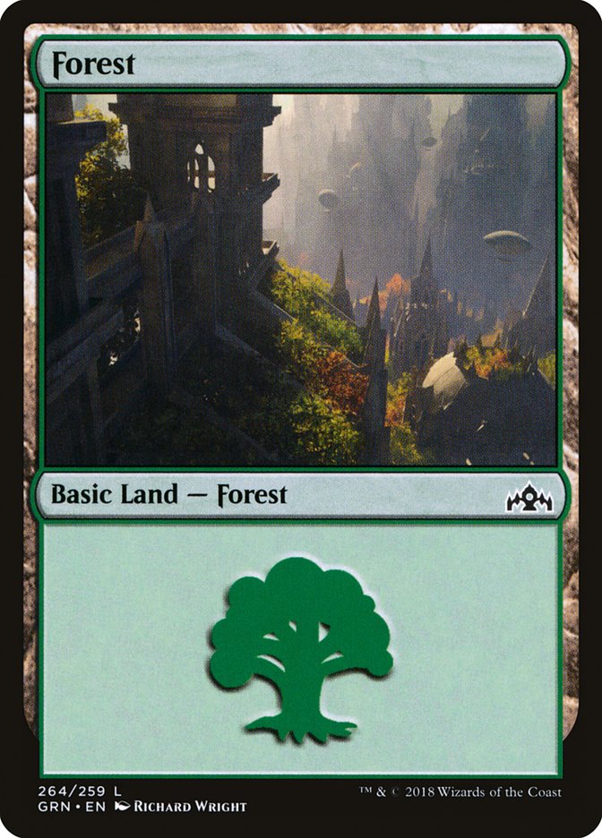 Magic the Gathering Card - Forest - MTG Circle