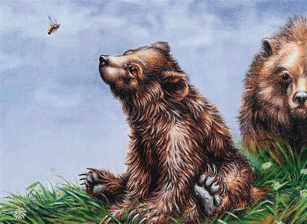 Bear Cub