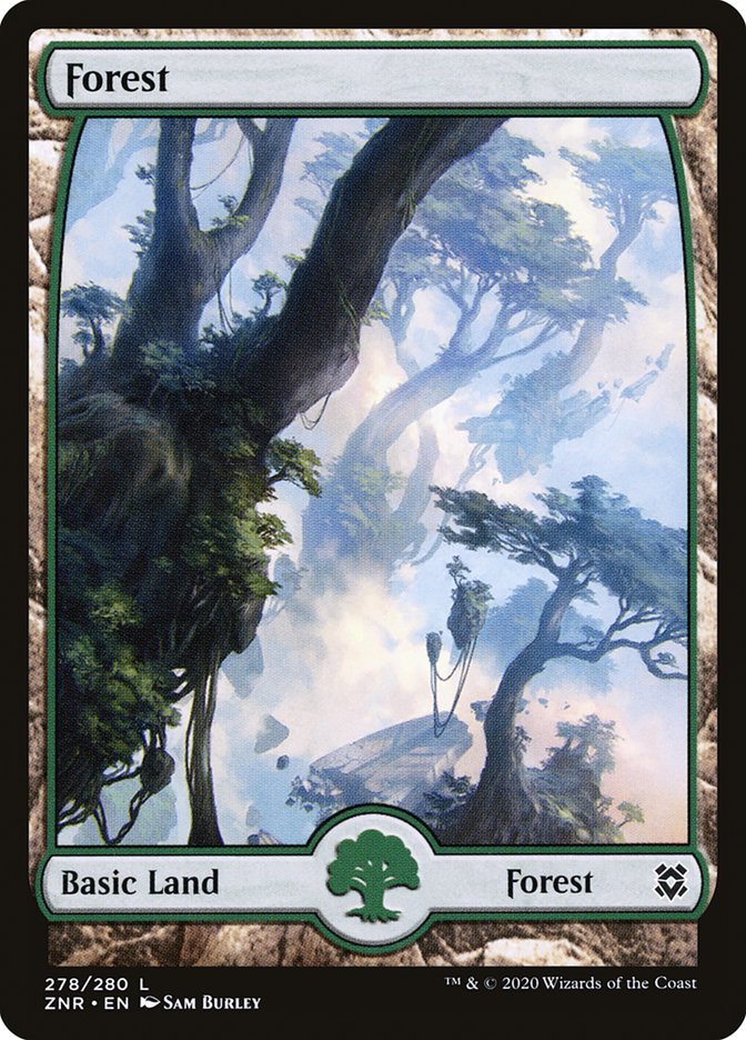 Magic the Gathering Card - Forest - MTG Circle