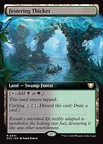 Magic the Gathering Card - Festering Thicket - MTG Circle
