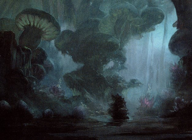 Swamp