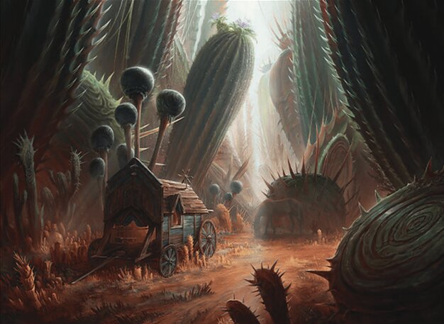 Forest
