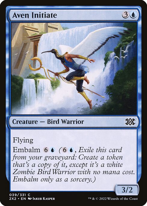 Magic the Gathering Card - Aven Initiate - MTG Circle