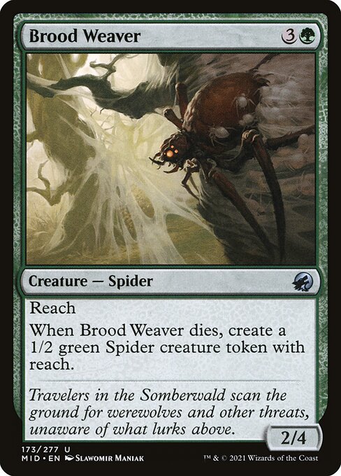 Magic the Gathering Card - Brood Weaver - MTG Circle