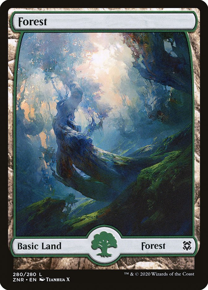 Magic the Gathering Card - Forest - MTG Circle