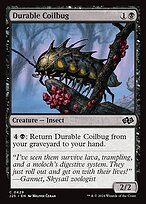 Magic the Gathering Card - Durable Coilbug - MTG Circle