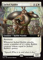 Magic the Gathering Card - Jacked Rabbit - MTG Circle