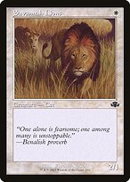 Magic the Gathering Card - Savannah Lions - MTG Circle