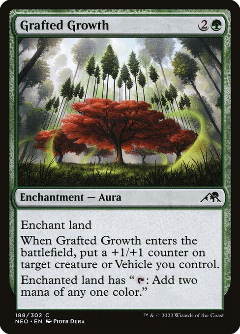 Magic the Gathering Card - Grafted Growth - MTG Circle