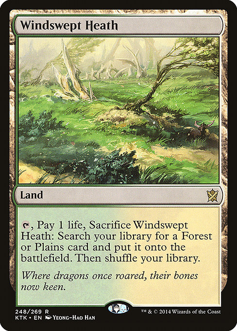 Magic the Gathering Card - Windswept Heath - MTG Circle