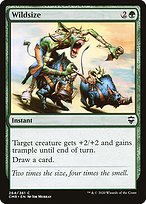 Magic the Gathering Card - Wildsize - MTG Circle