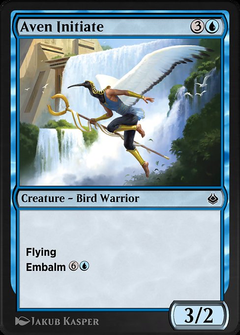 Magic the Gathering Card - Aven Initiate - MTG Circle