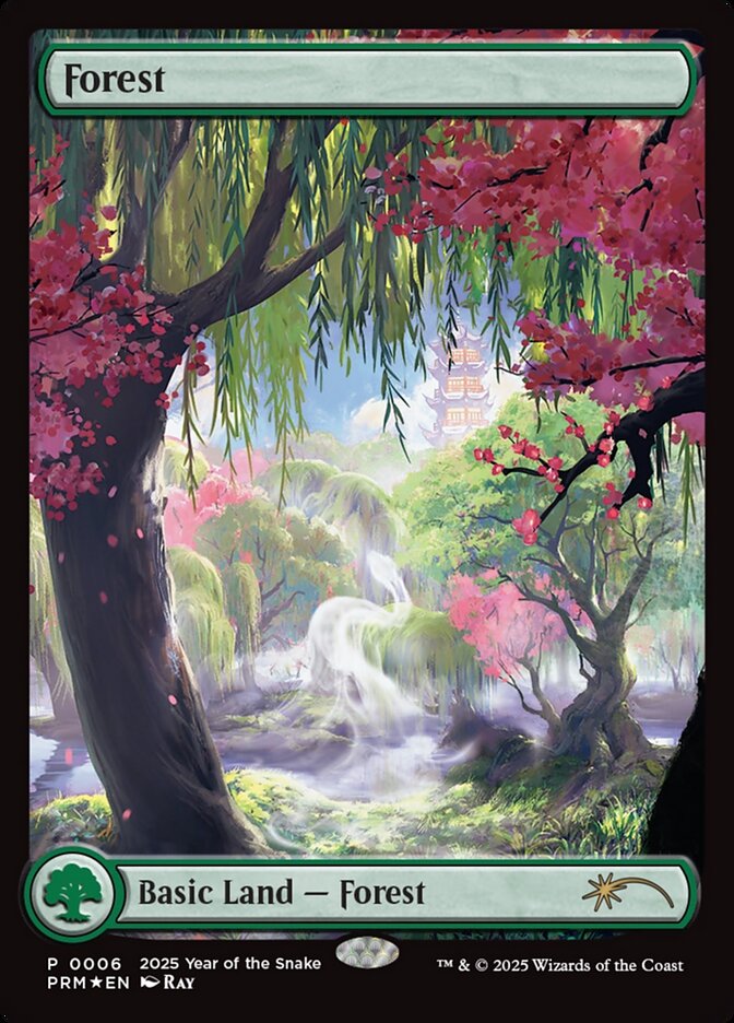 Magic the Gathering Card - Forest - MTG Circle