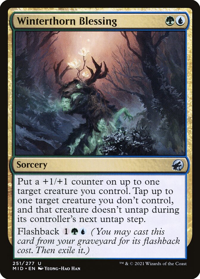 Magic the Gathering Card - Winterthorn Blessing - MTG Circle