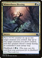 Magic the Gathering Card - Winterthorn Blessing - MTG Circle