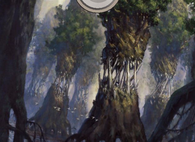 Evolving Wilds