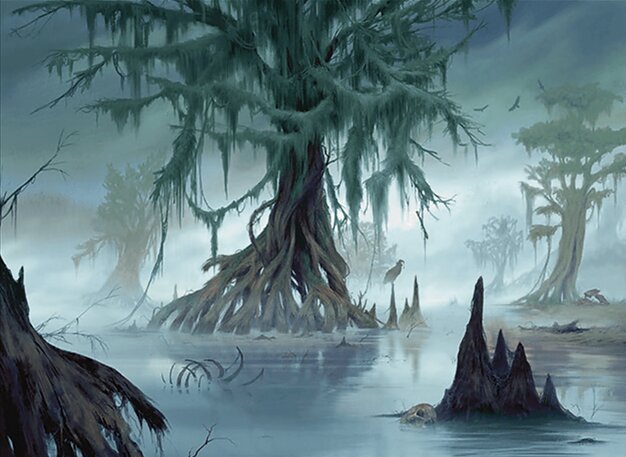 Swamp