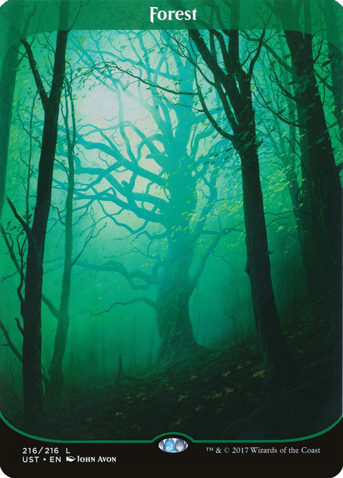 Magic the Gathering Card - Forest - MTG Circle