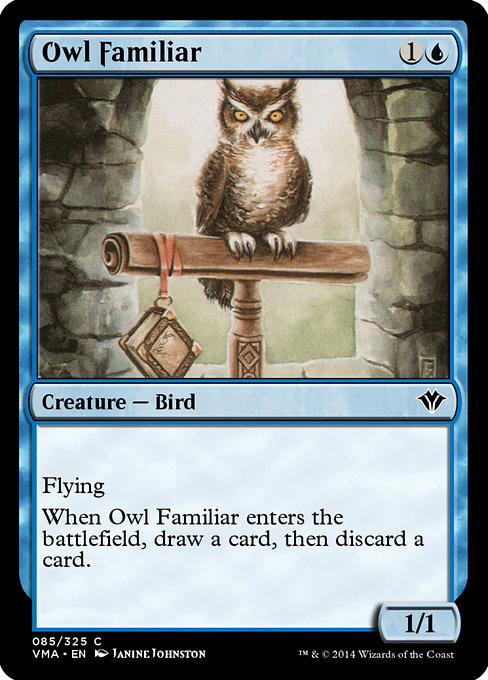 Magic the Gathering Card - Owl Familiar - MTG Circle