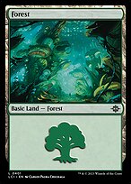 Magic the Gathering Card - Forest - MTG Circle