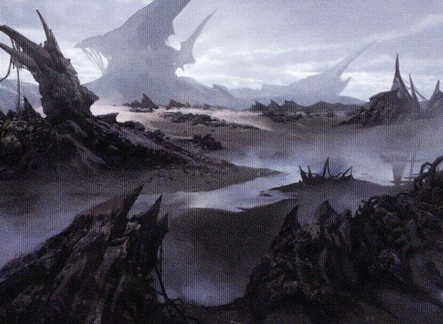Swamp