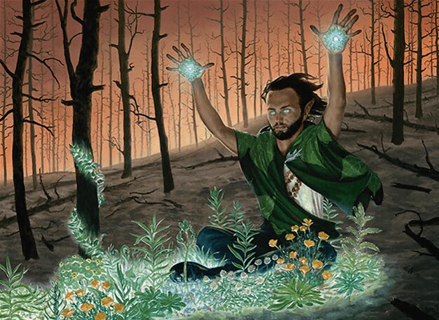Springbloom Druid