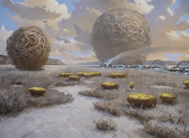 Plains