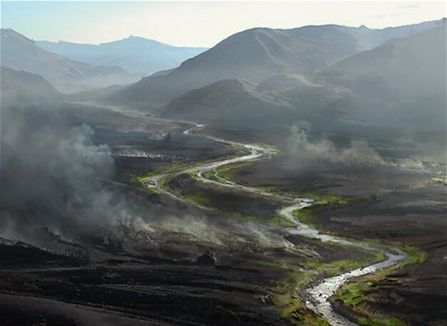 Ash Barrens