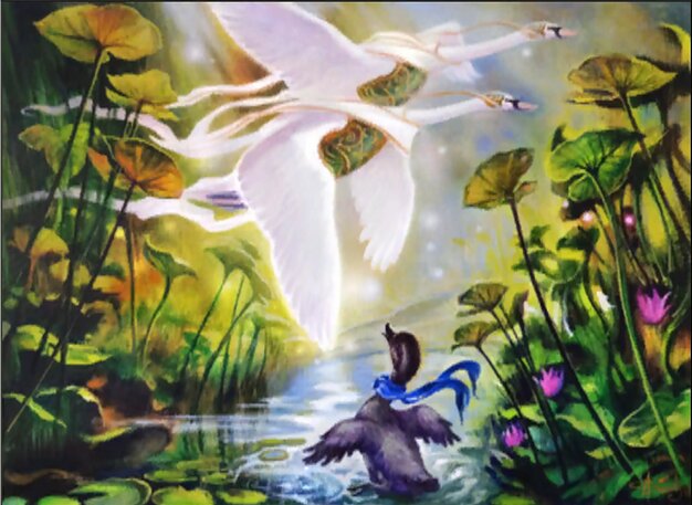 Awestruck Cygnet