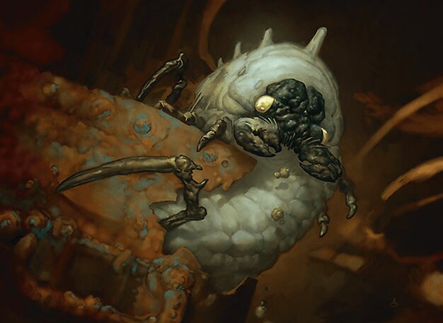 Carrion Grub