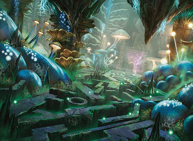 Hidden Nursery