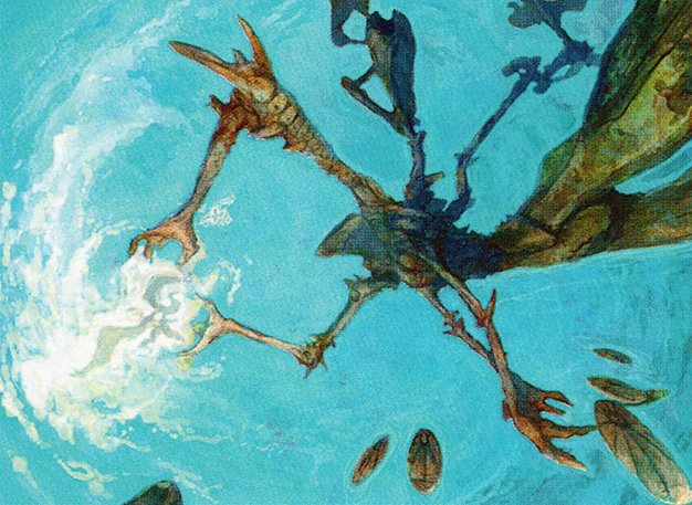 Peer Through Depths