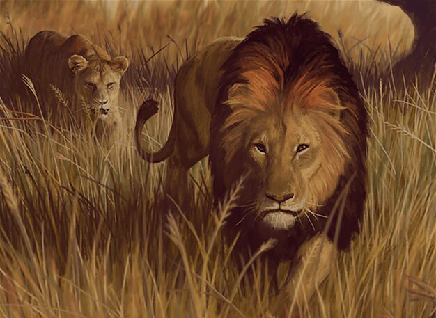 Savannah Lions