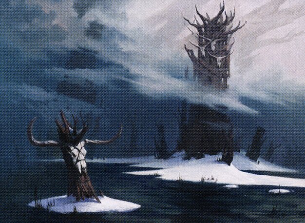 Snow-Covered Swamp